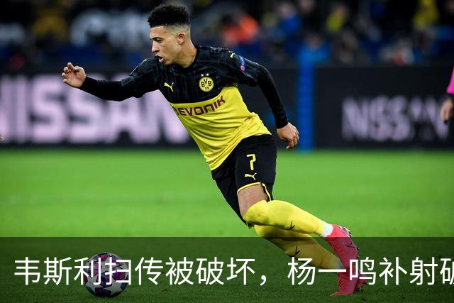 韦斯利扫传被破坏，杨一鸣补射破门，新鹏城2-0西海岸